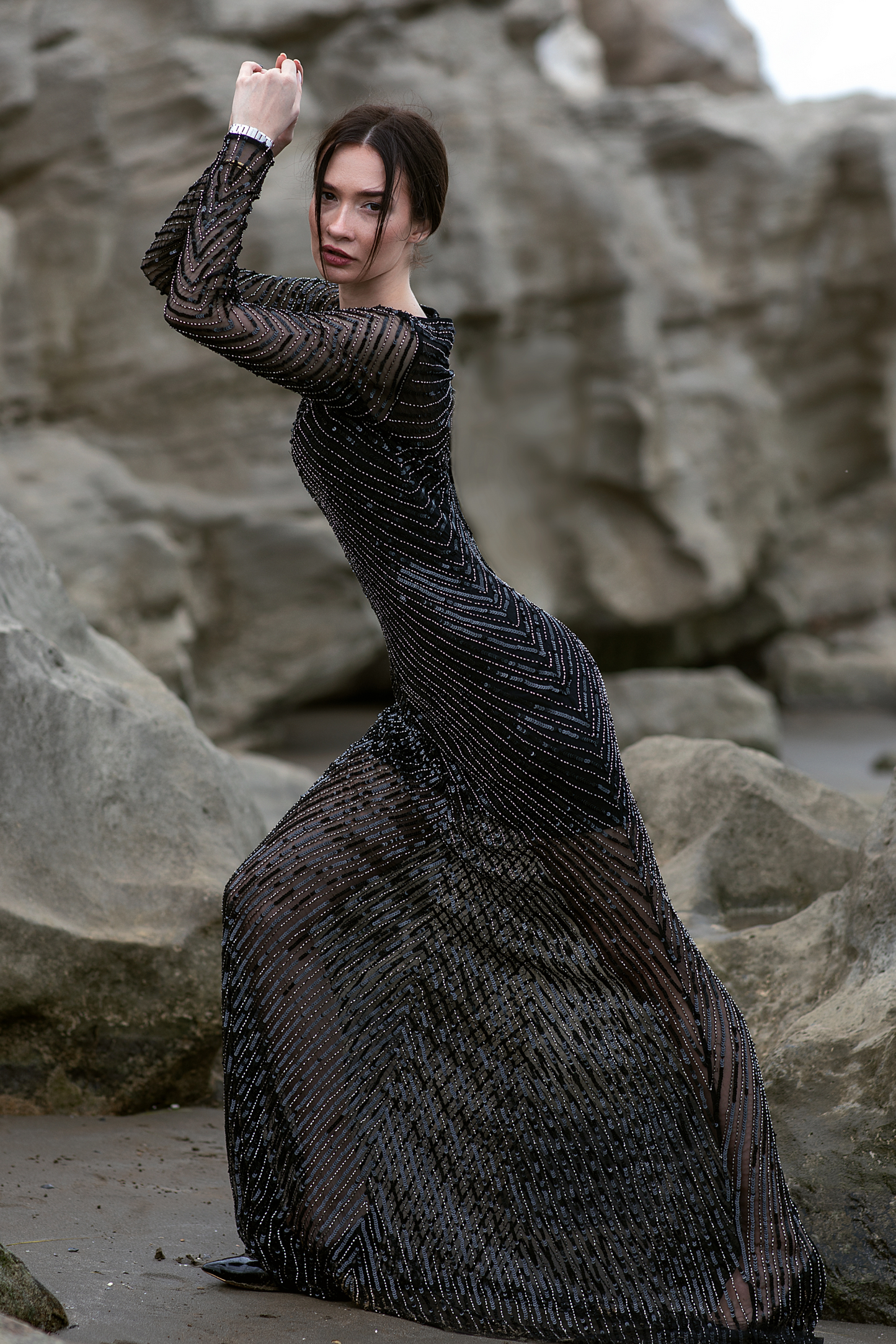 Classic Black Embellished Fitted Gown