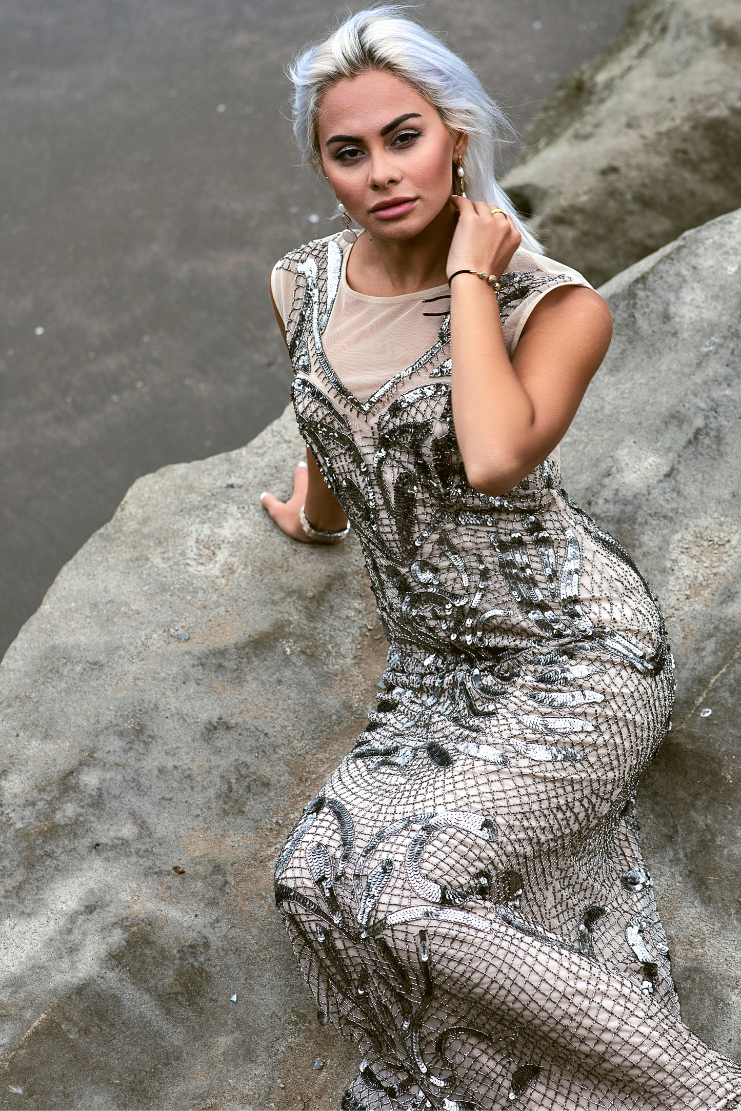 Silver Embellished Gown